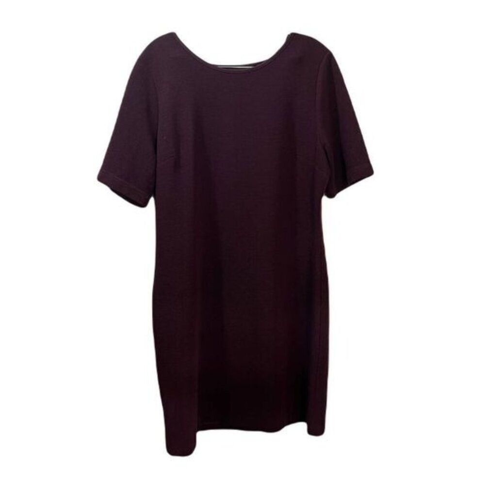 Mario Serrani Large Knee Length‎ Short Sleeve Dress
